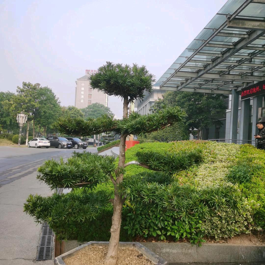 自然而然