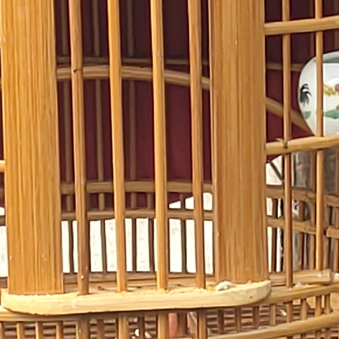 吴长荣2102290793846