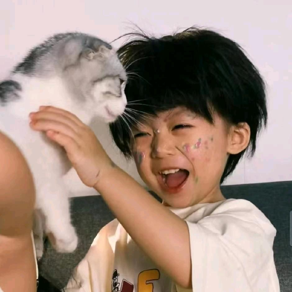 十一