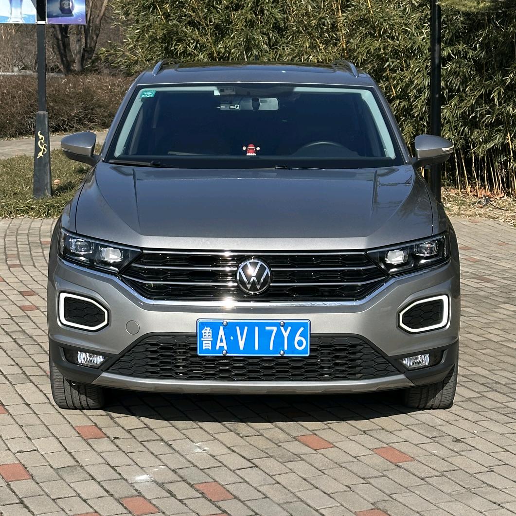 养个探歌🚦