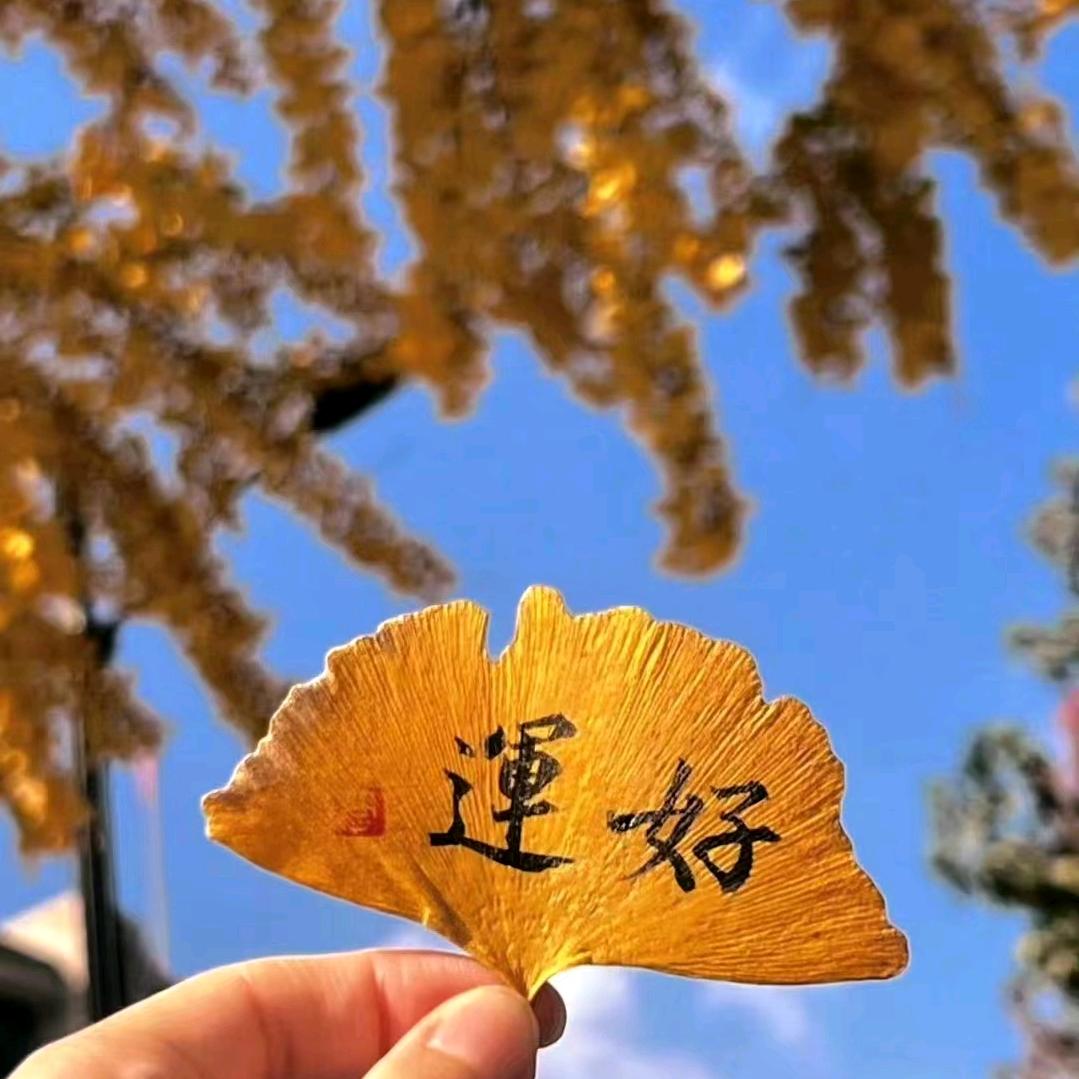 关注我，多个朋友多条路