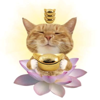 Gua@Yi（求毕业版）