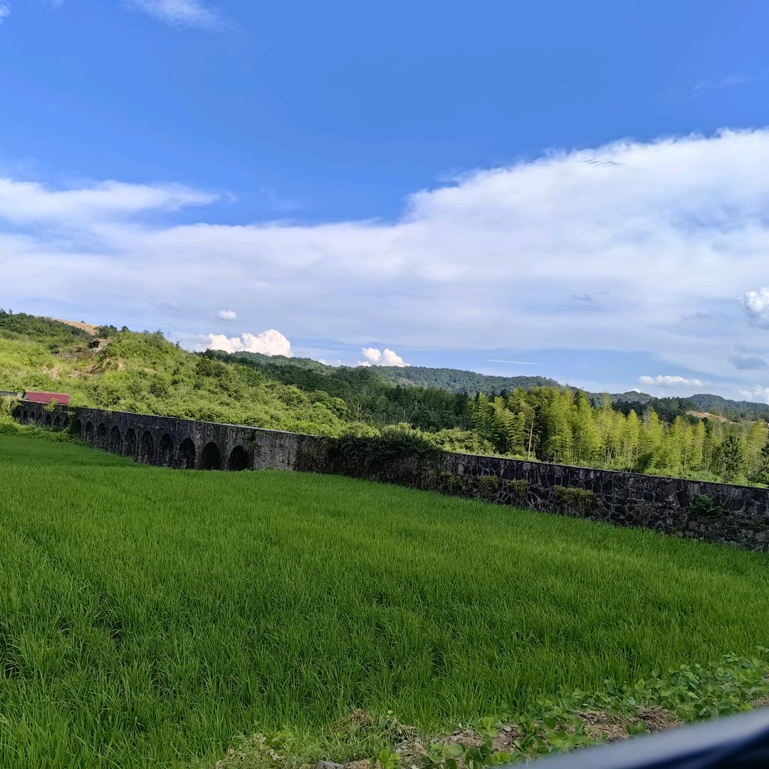 @杨丽娜