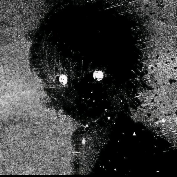 孬怣为囚