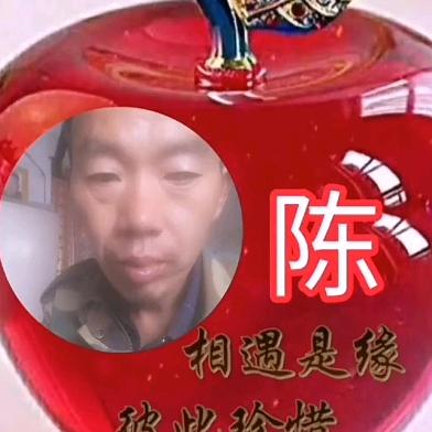 陈哥