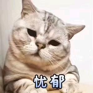 重新开始