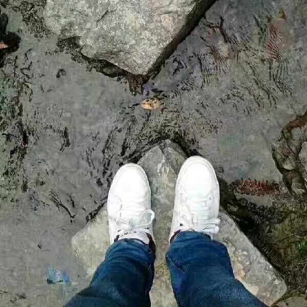 持之以恒