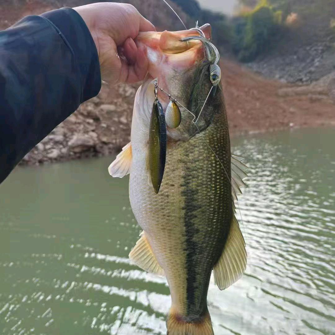 微溪路亚🎣