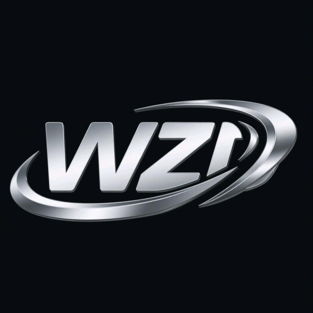 WZD.王