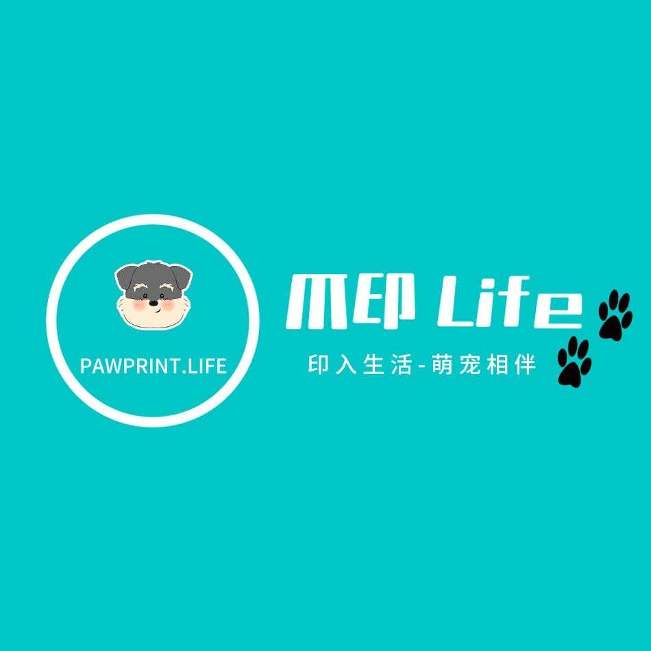 爪印life