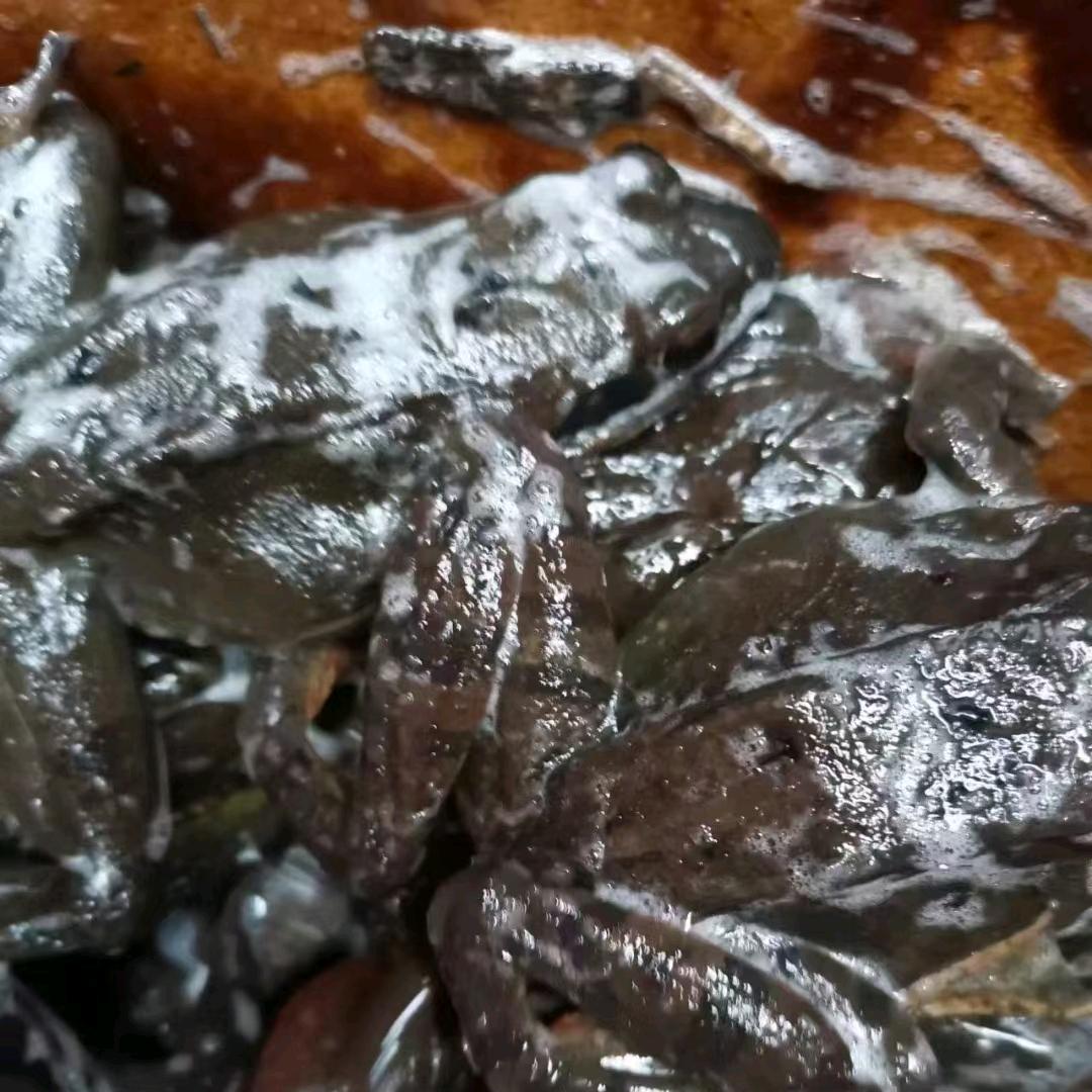 开原市周家山野菜林蛙店2号