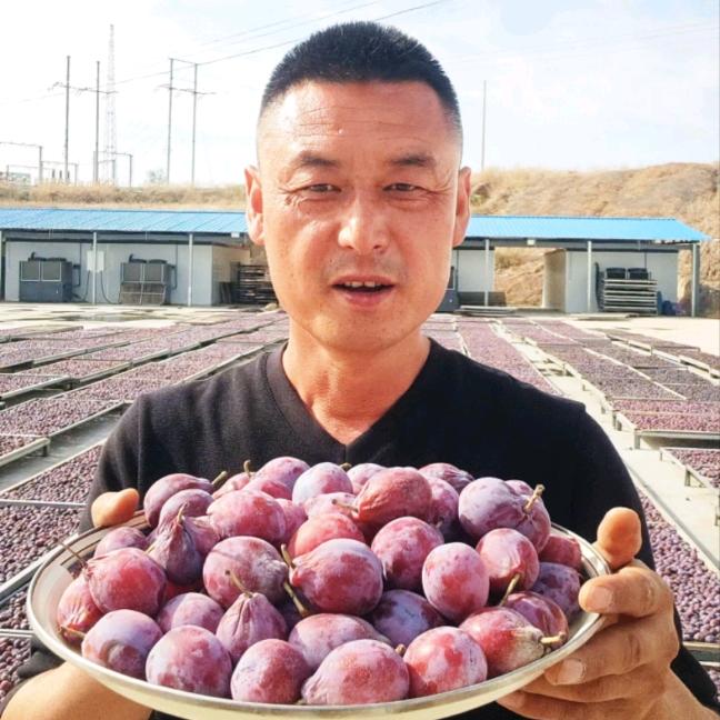 伊犁杏子哥