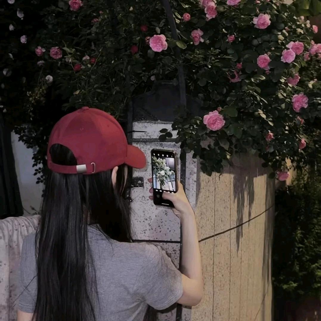 柠檬🍃