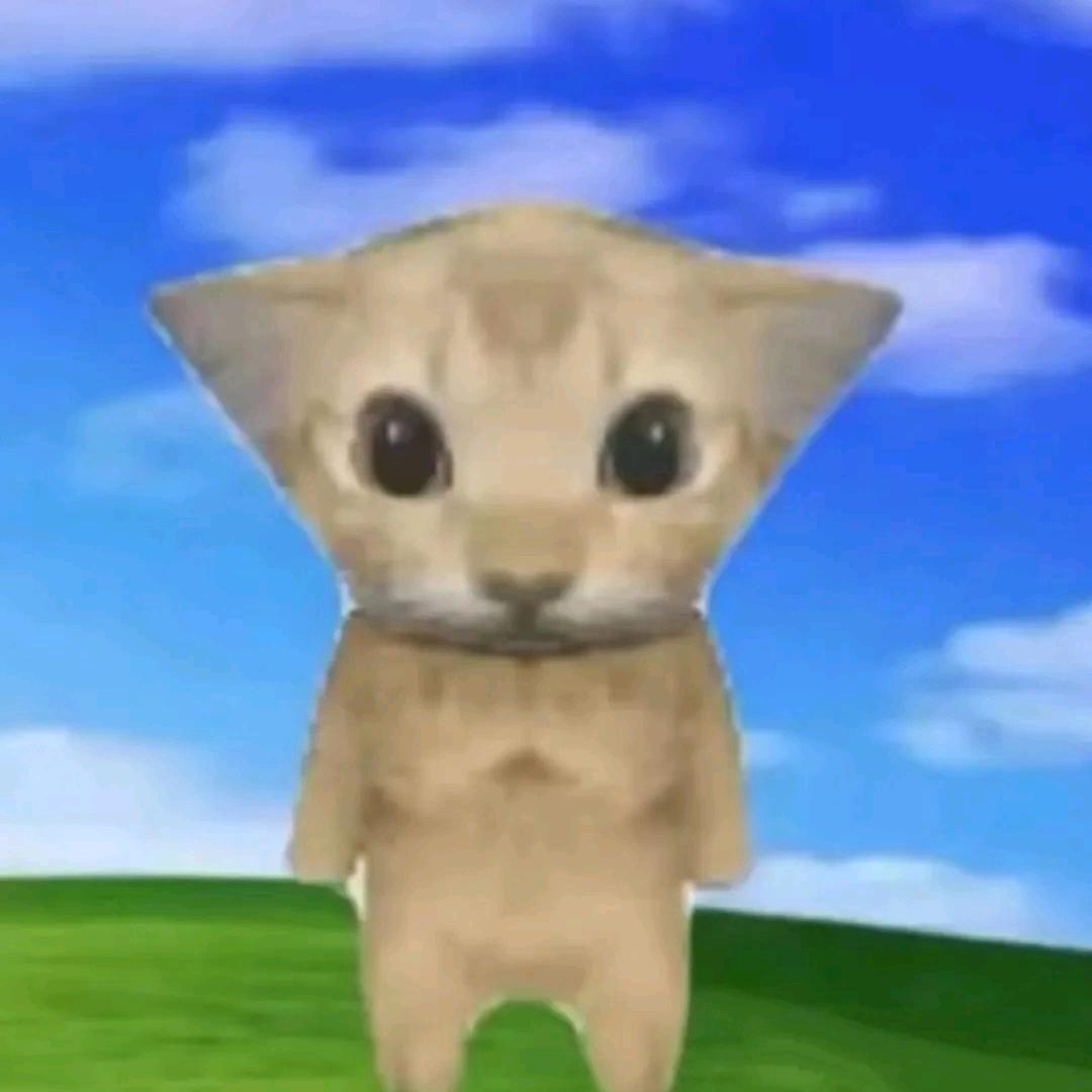 Kiva头像