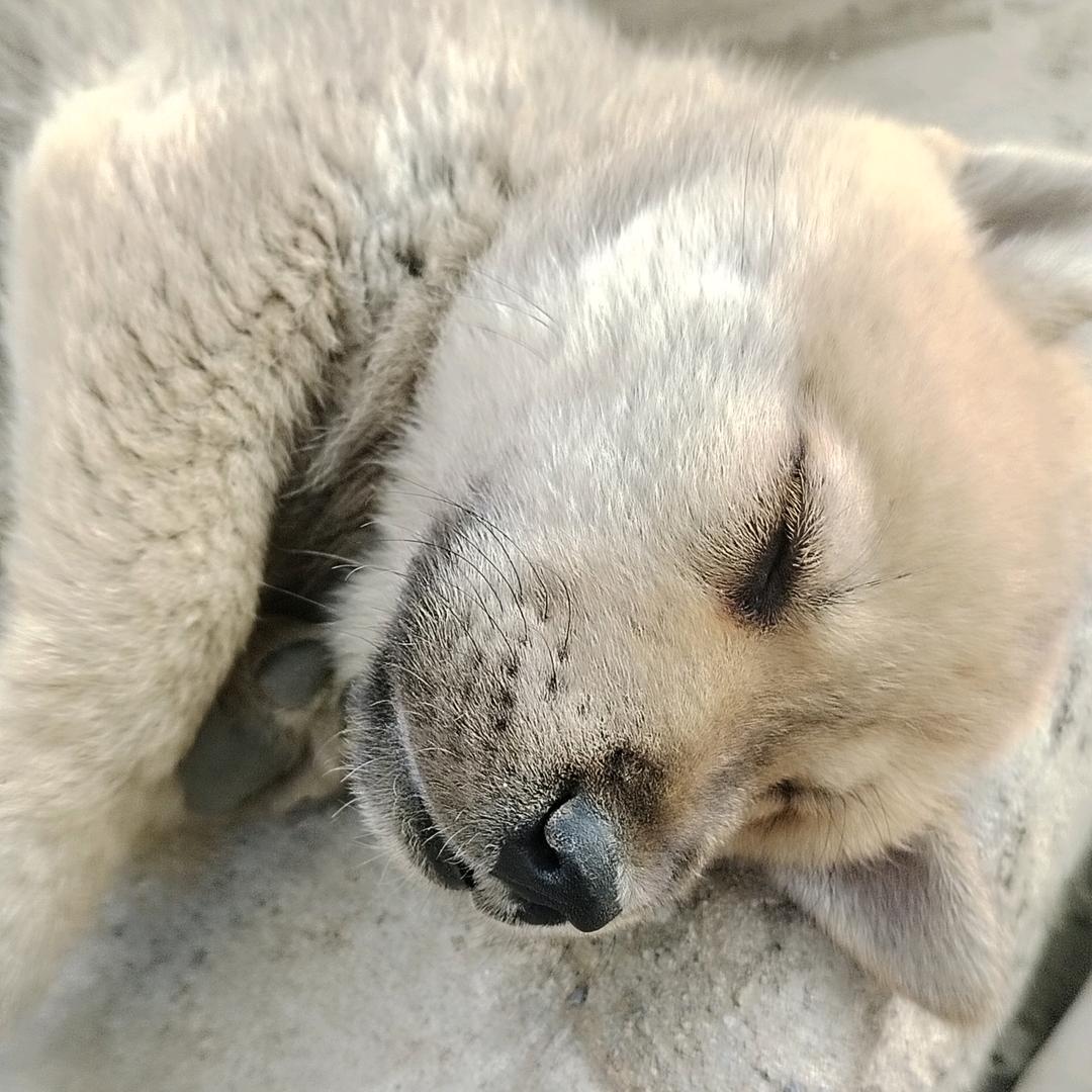 @爱钓鱼的老渣男