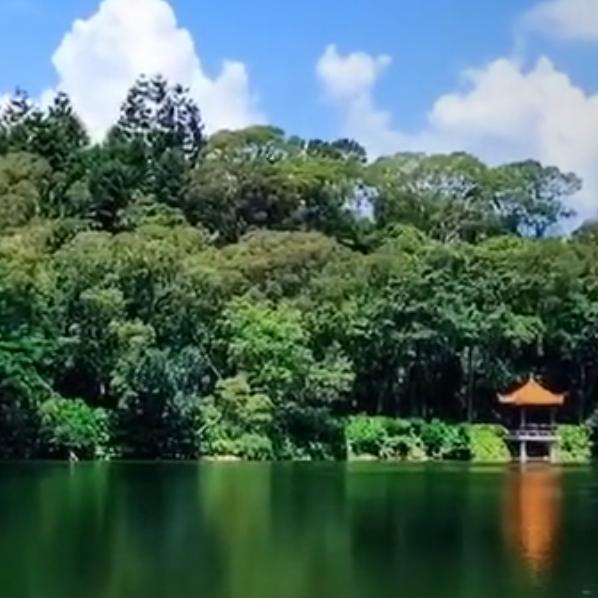 乡村阿杨