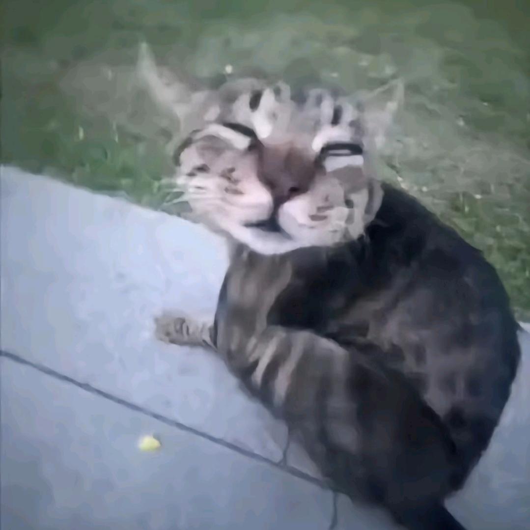 太至明