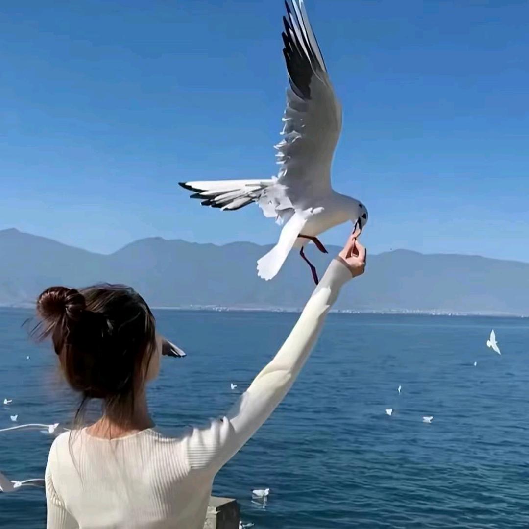 ꕥ᭄往໊事໊随໊风散꯭٭᭄ོ