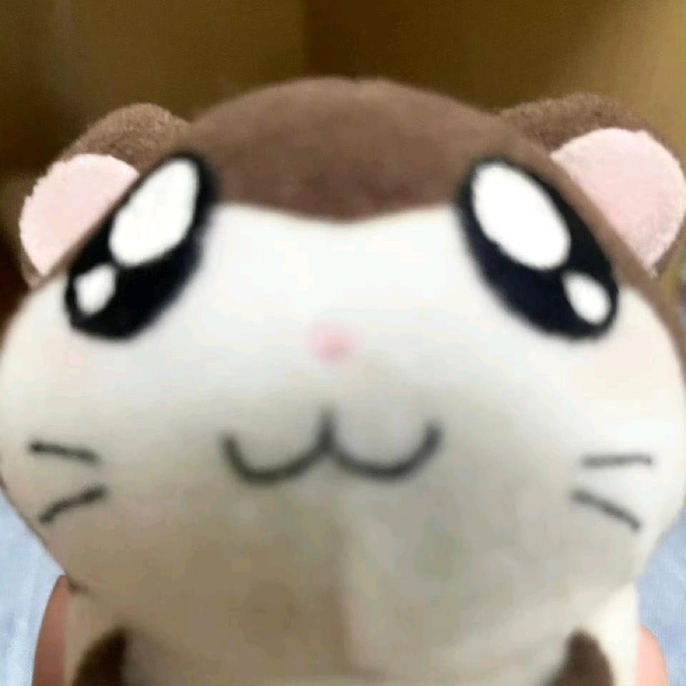 玉米肠