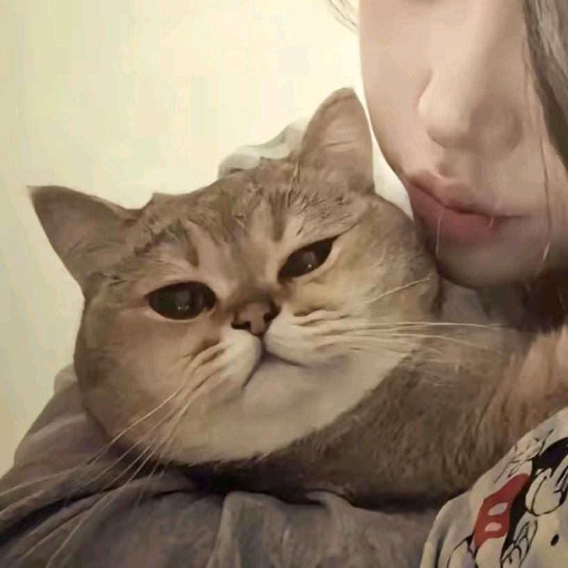 慕.