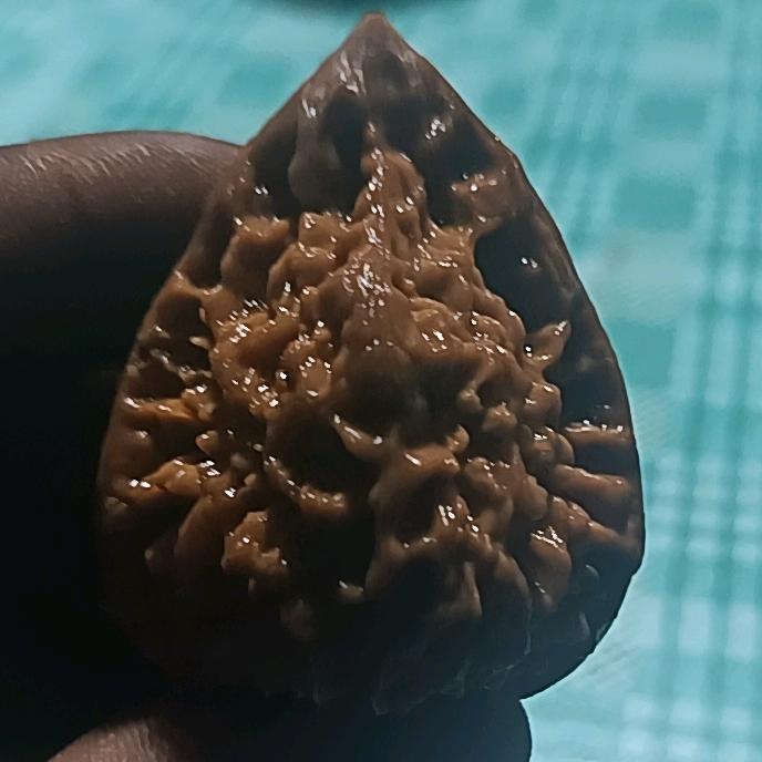 (人……………生)