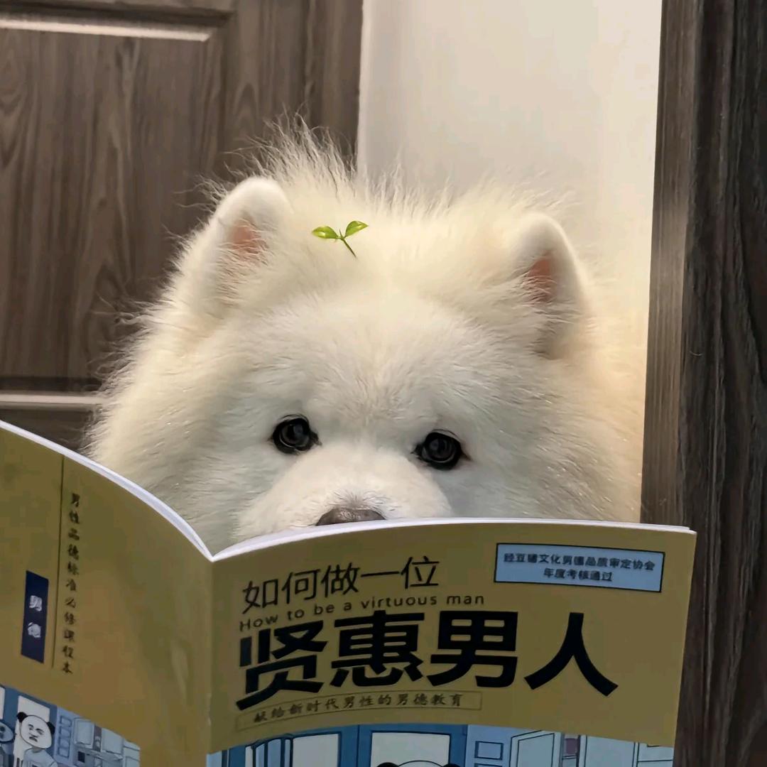 无言