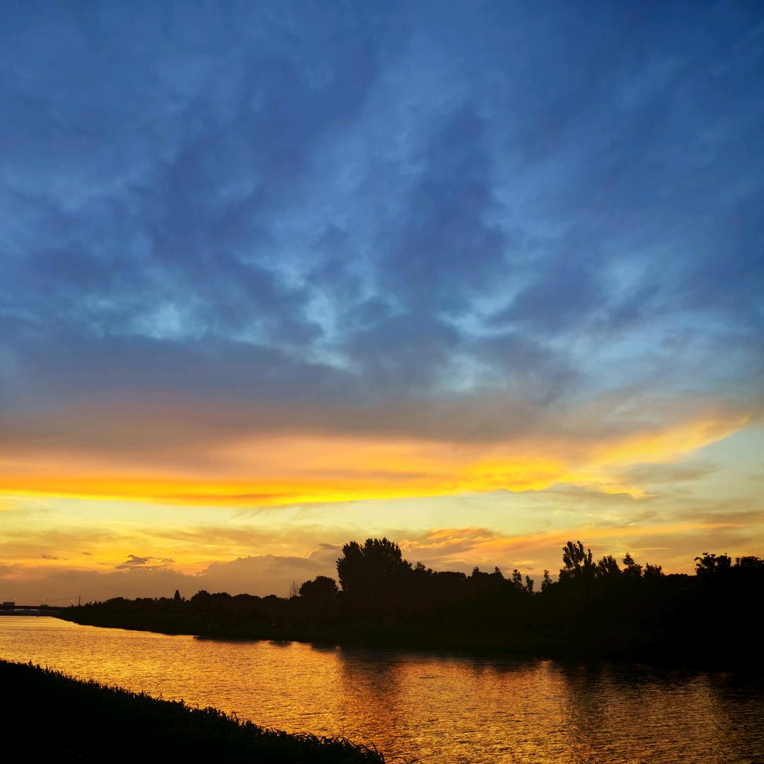 佳洪名车收购（小唐）