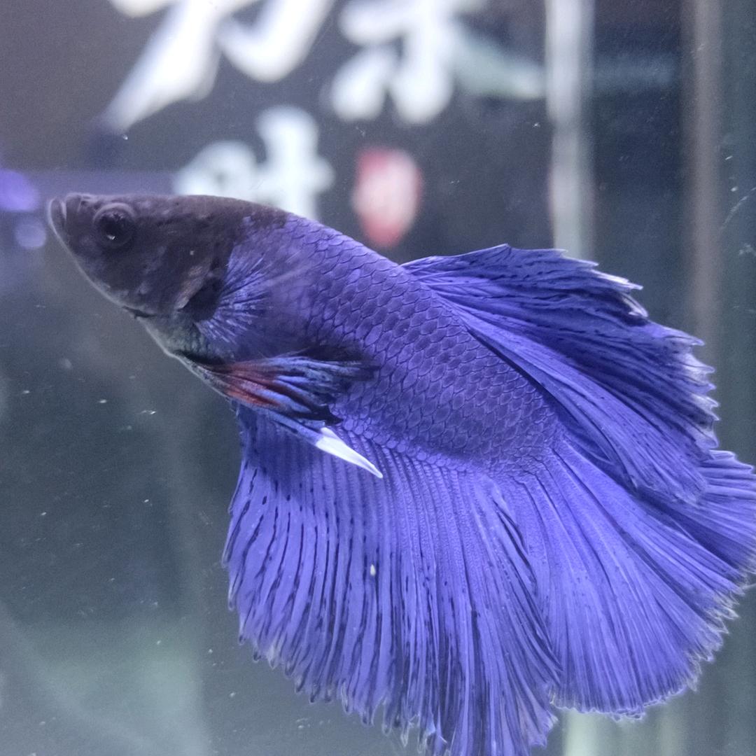 @喜欢的就是你！