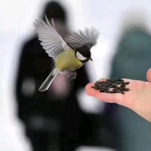 ༼ཞི་🙏བདེ༽