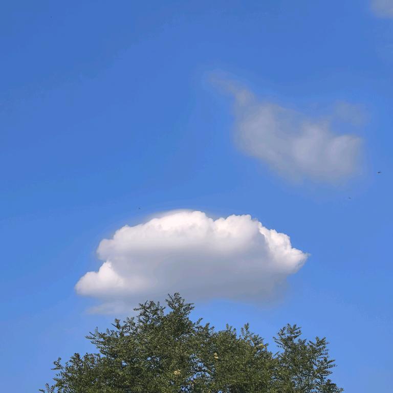 亚拉_索