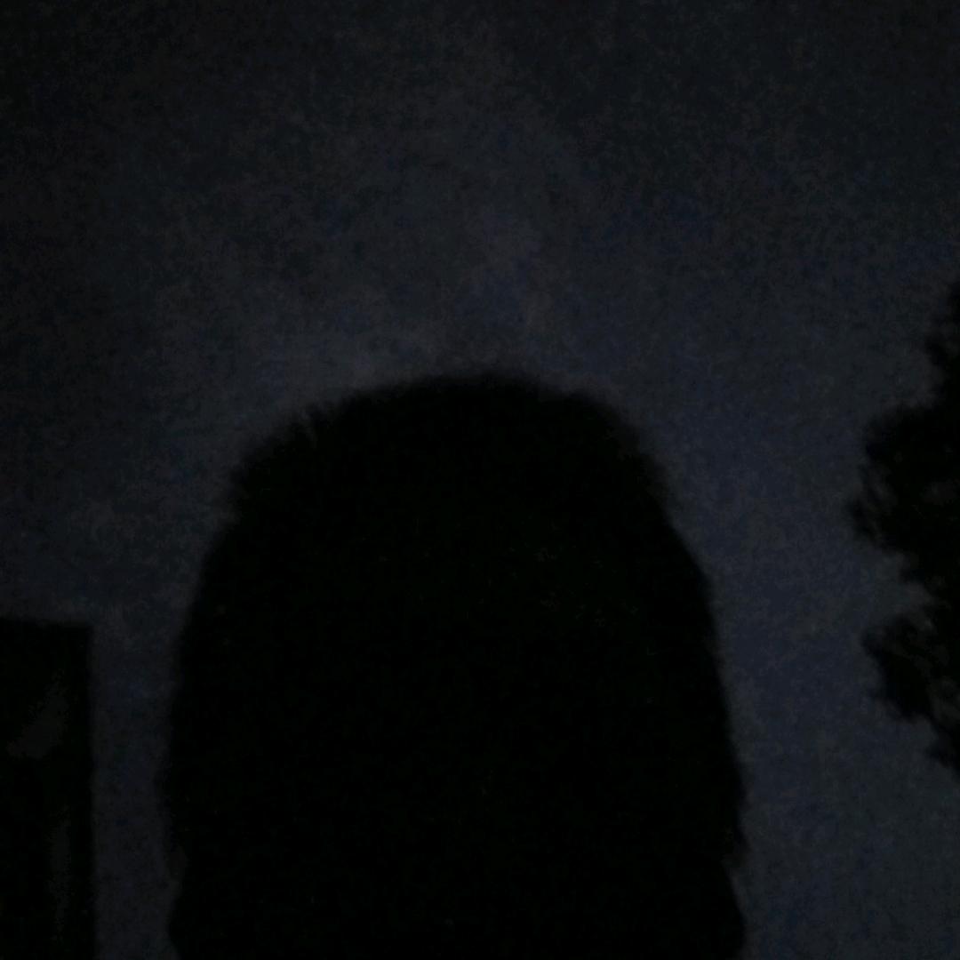 封心锁爱