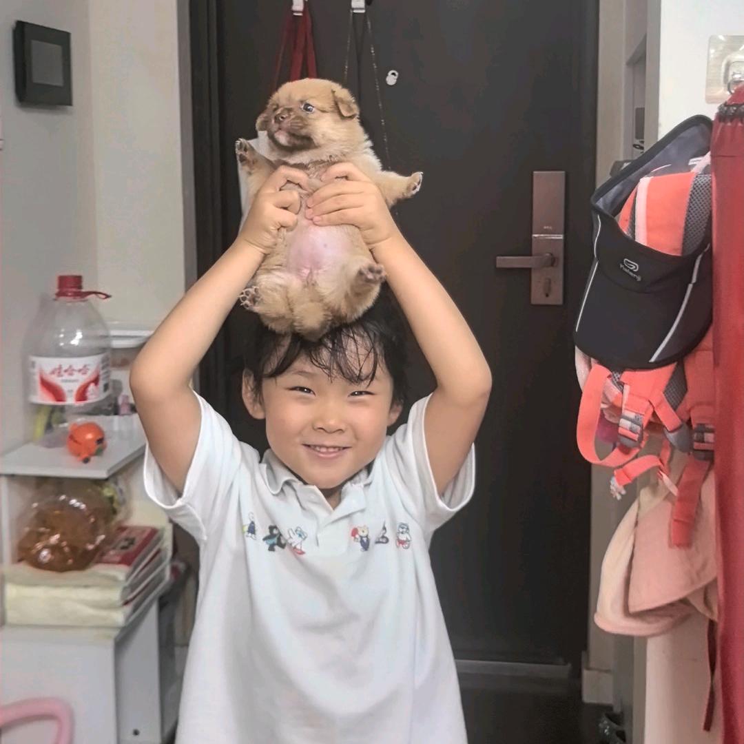 狗肉馆截胡小奶狗