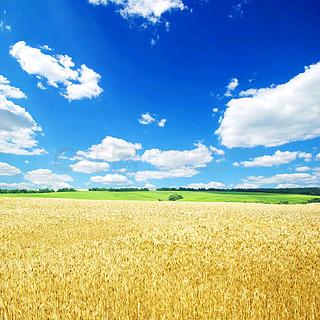 帘到家网上实体店，徐沟店《拒绝连赞》