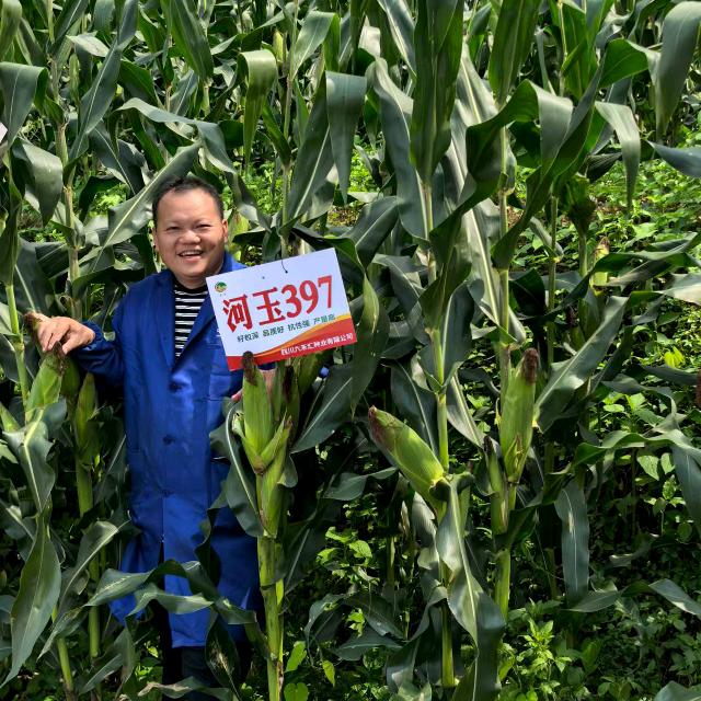 新农人小马（不定时开播）