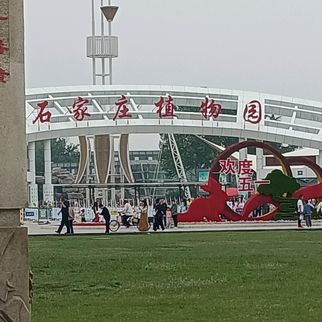 四十多的大叔至今还单身