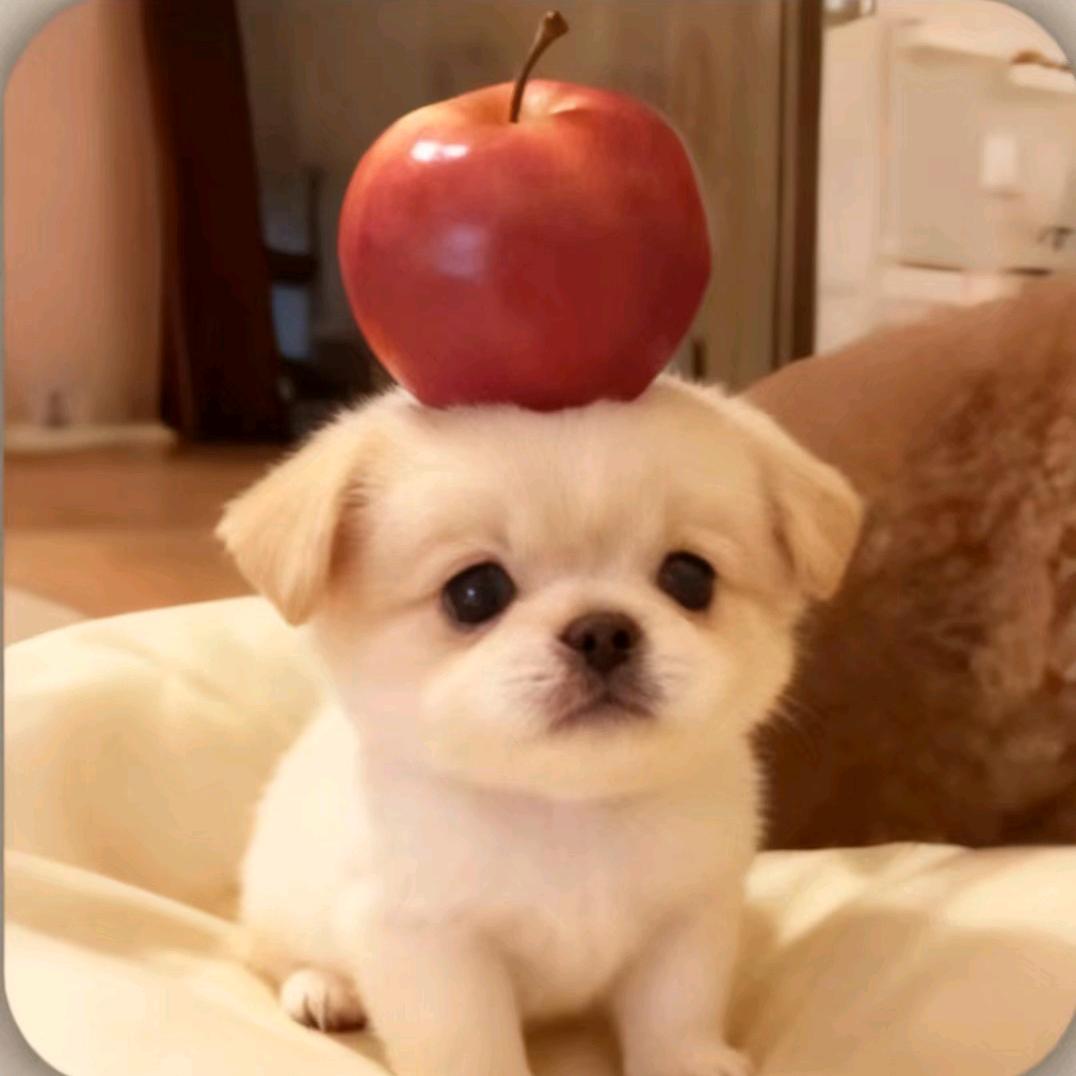 发财发财发大财