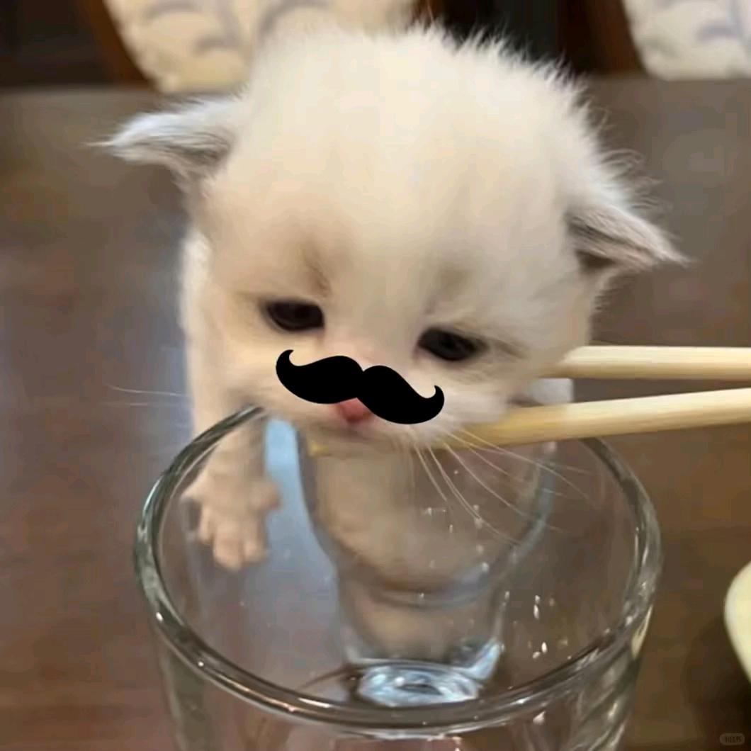 橙留香