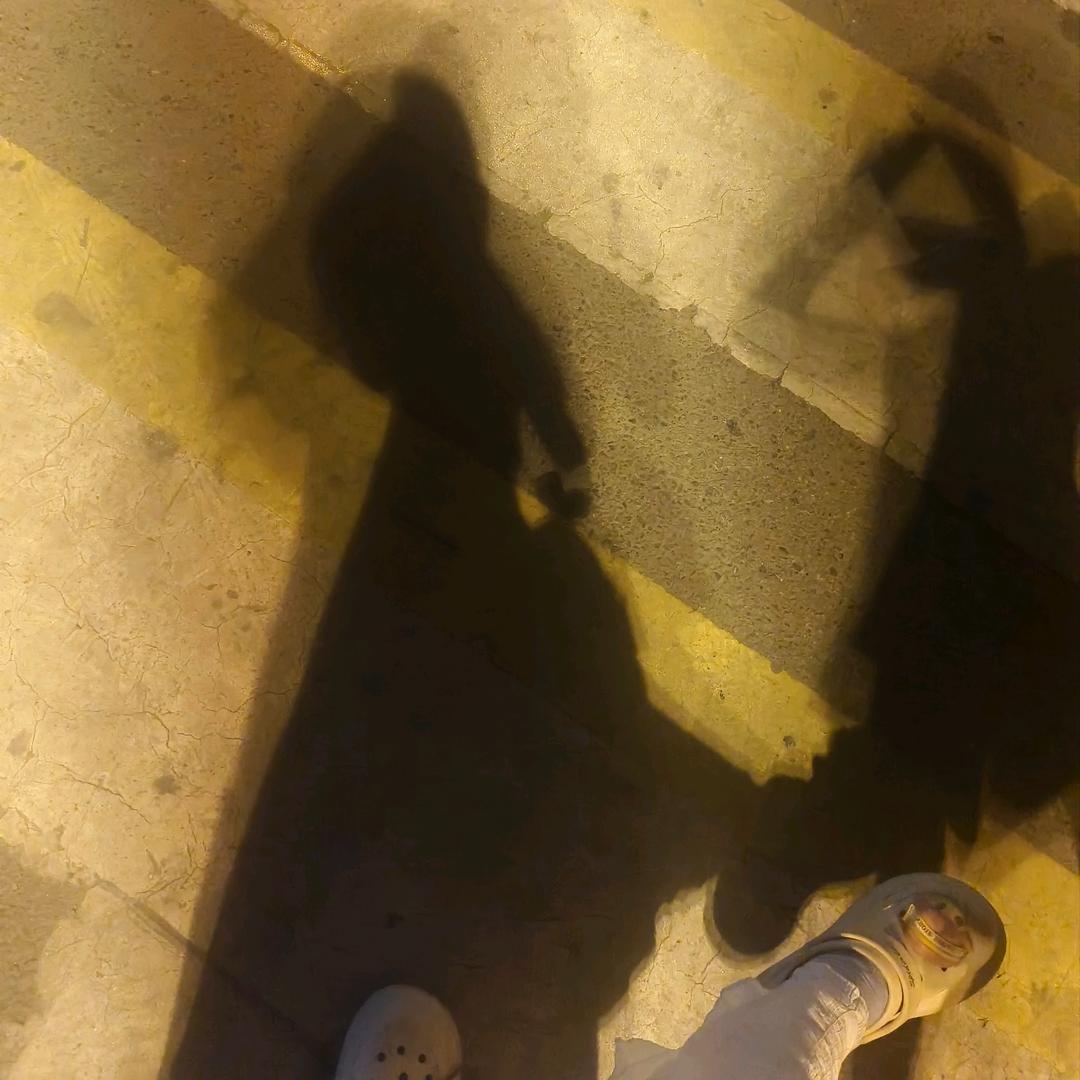 头头₍˄·͈༝·͈˄*₎◞ ̑̑