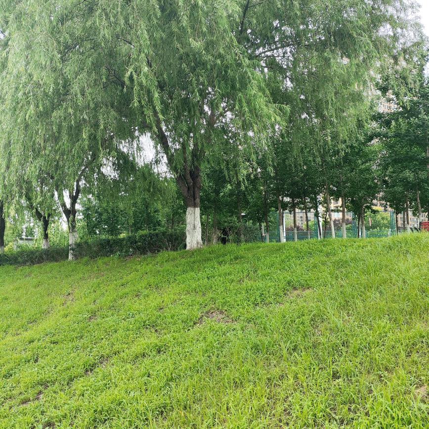 小影的轻食零食