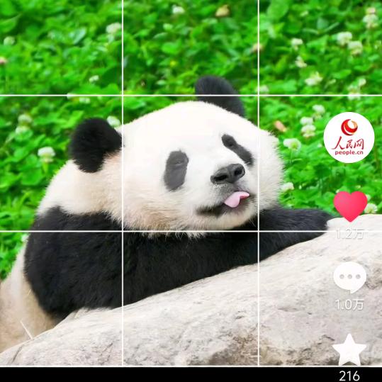 哈拉少