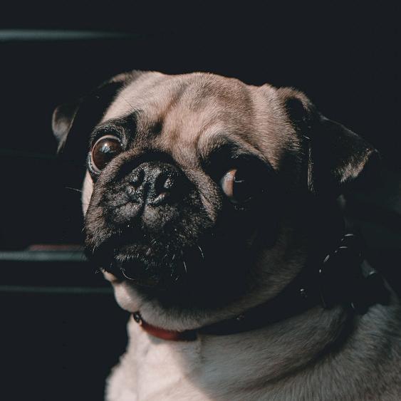 隔壁王叔叔睡着了