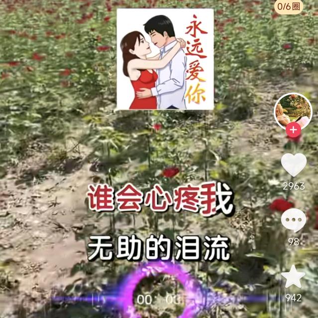 代华