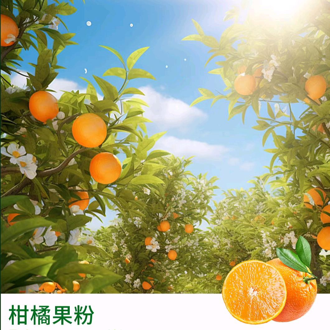 序木堂食品旗舰店