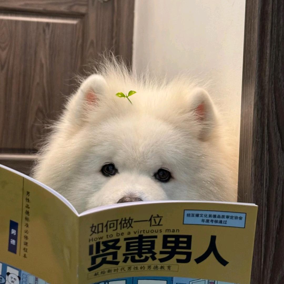 王小fat