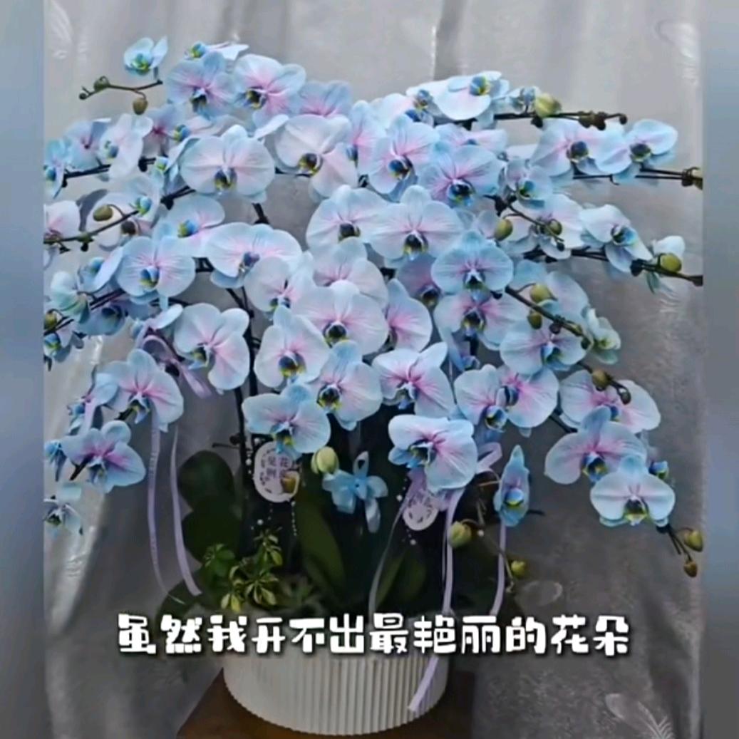 武汉麦琪兰园（铁机店）