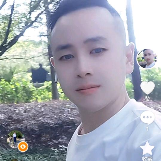 踏月留香
