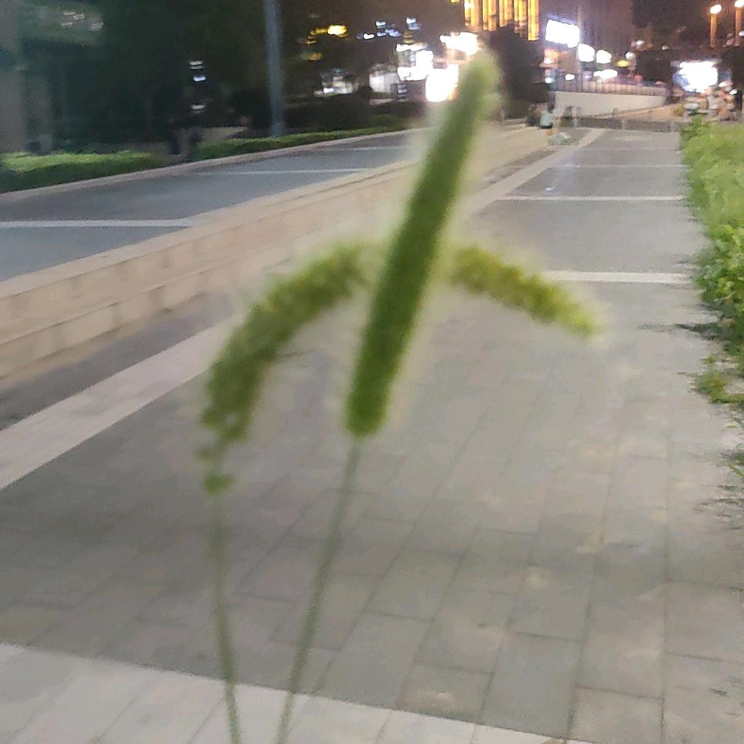 惜缘