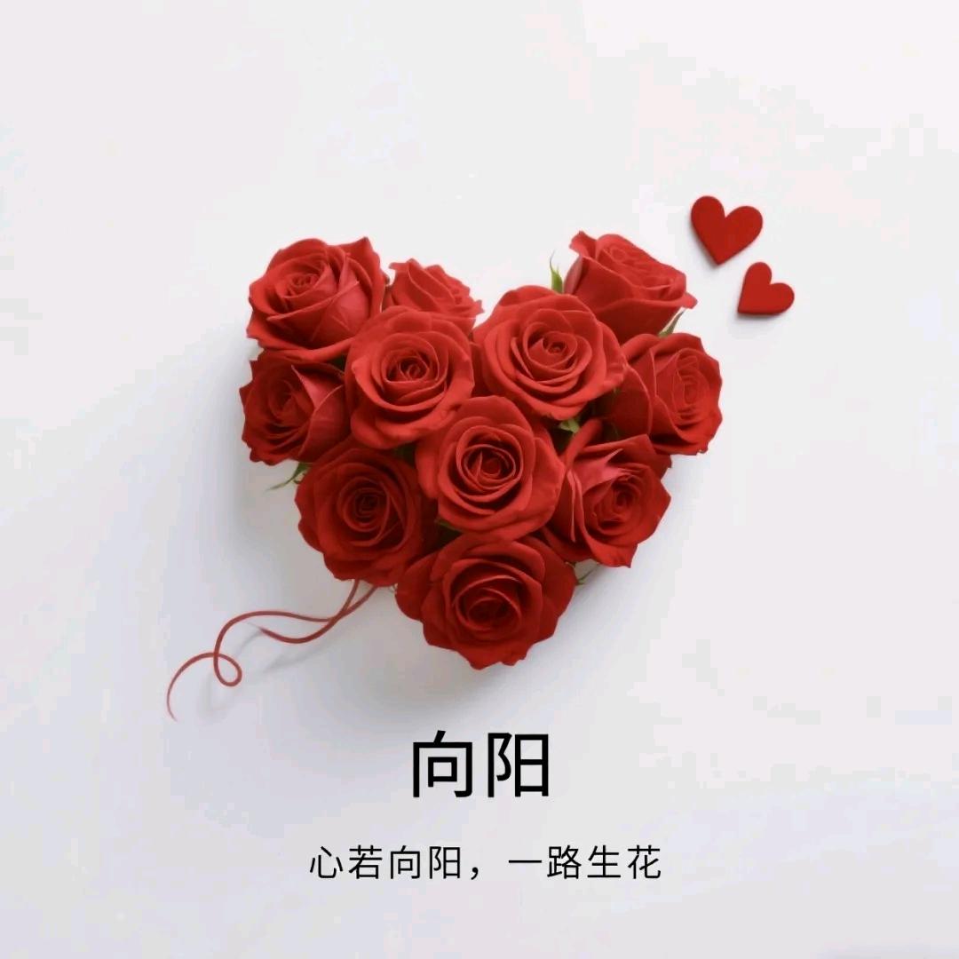 艾逸生活