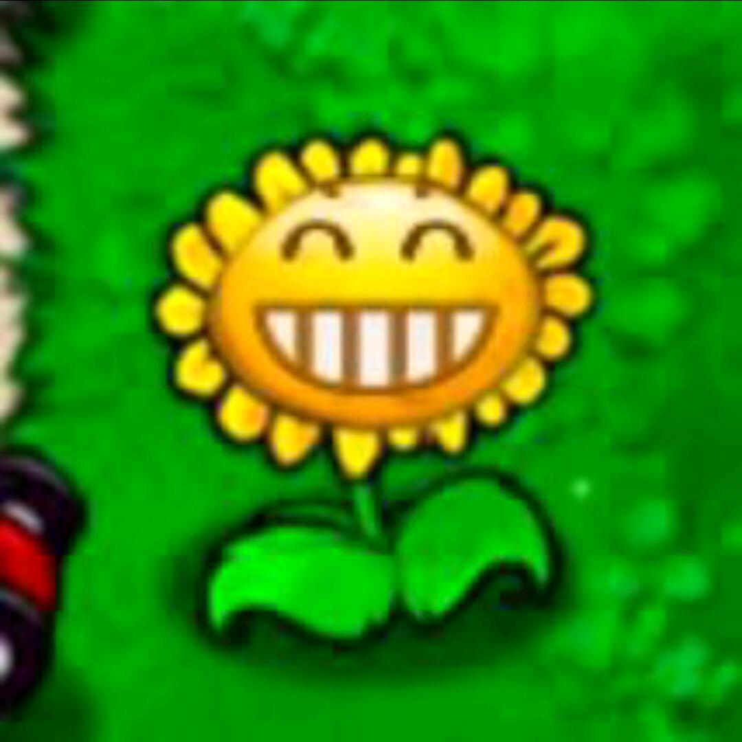 TZo2