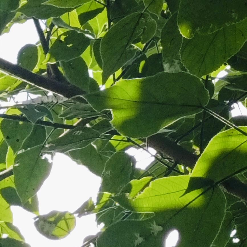 ꦿ甩এ掉᭄过ɞ去